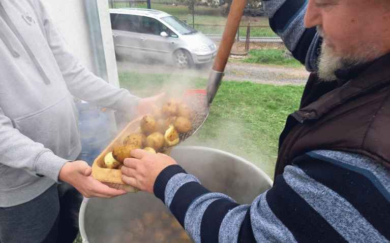Kartoffelfest w Schodni